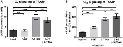 The Trace Amine-Associated Receptor 1 Agonist 3-Iodothyronamine Induces Biased Signaling at the Serotonin 1b Receptor